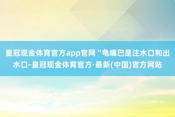 皇冠现金体育官方app官网“龟嘴巴是注水口和出水口-皇冠现金体育官方·最新(中国)官方网站